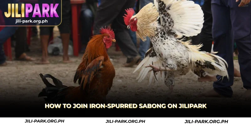 how to join iron-spurred sabong on jilipark