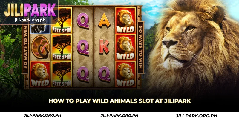 how to play wild animals slot at jilipark