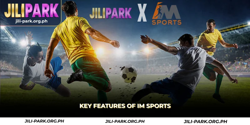 key features of im sports