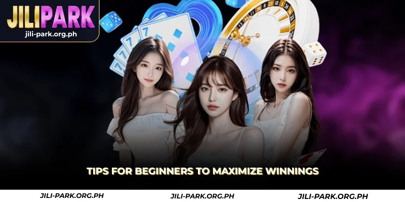 tips for beginners to maximize winnings