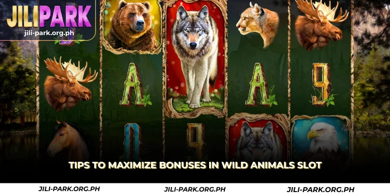 tips to maximize bonuses in wild animals slot