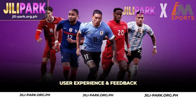 user experience & feedback